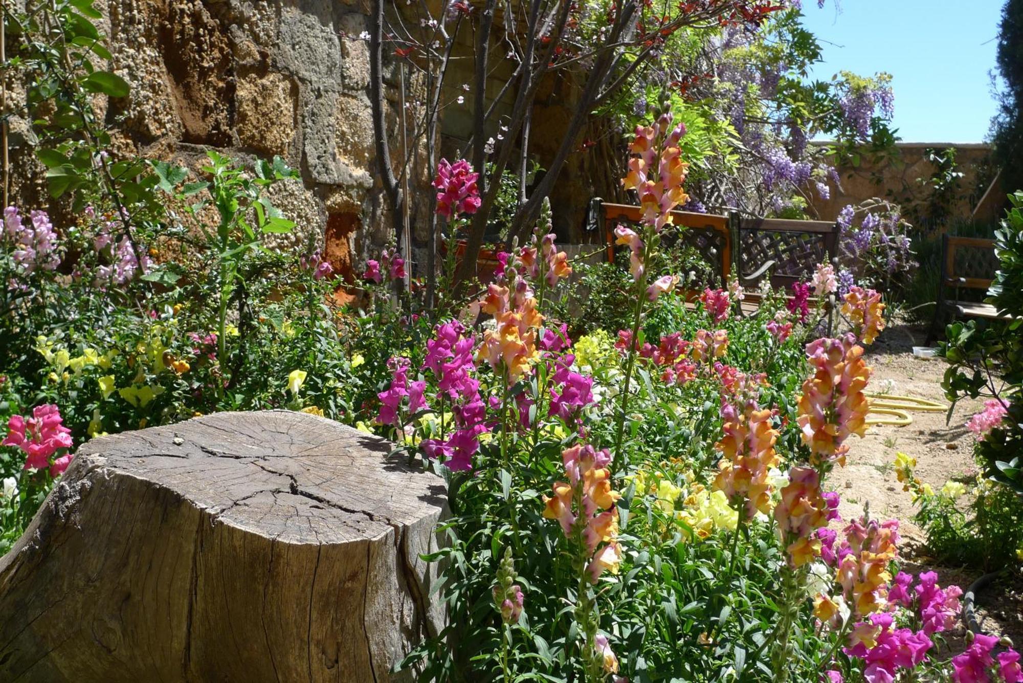 Hotel Rural San Miguel - Only Adults ซานมิเกลเดียโบนา ภายนอก รูปภาพ
