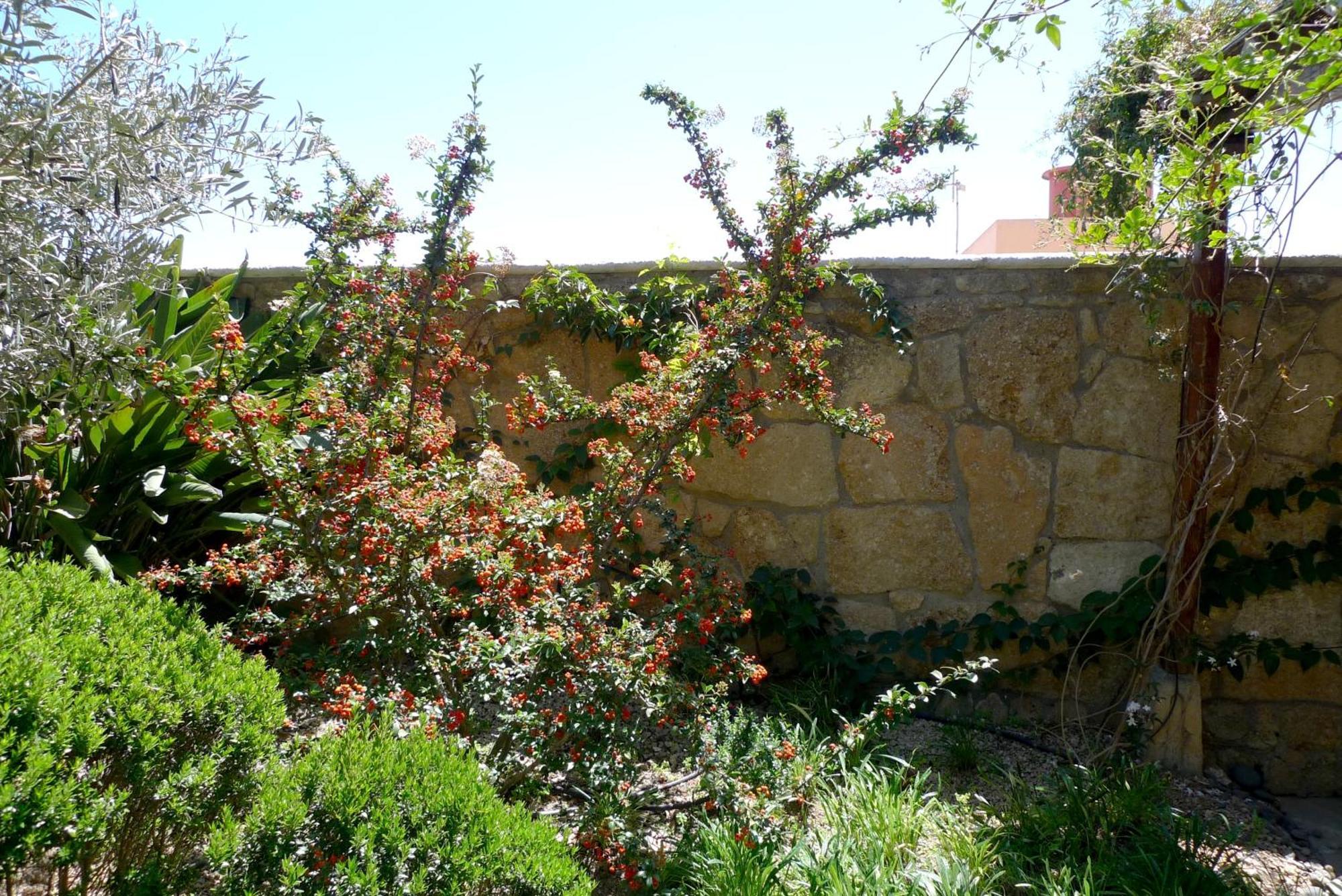 Hotel Rural San Miguel - Only Adults ซานมิเกลเดียโบนา ภายนอก รูปภาพ