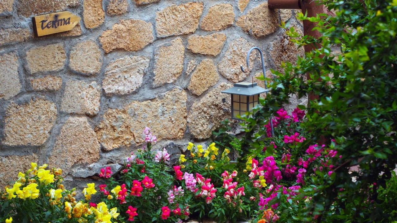 Hotel Rural San Miguel - Only Adults ซานมิเกลเดียโบนา ภายนอก รูปภาพ